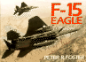 F-15 Eagle in Color