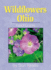 Wildflowers of Ohio Field Guide (Wildflower Identification Guides)