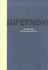 Supernova: Art of the 1990s From the Logan Collection