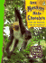 How Monkeys Make Chocolate: Foods and Medicines From the Rainforests