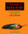 I Found a Dead Bird: the Kids' Guide to the Cycle of Life and Death