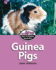 Guinea Pigs (Get to Know Your Pet)