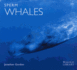 Sperm Whales (Worldlife Library)