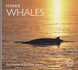 Minke Whales (Worldlife Library)