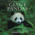 Giant Pandas (Wildlife Monographs)