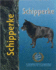 Schipperke (Pet Love Dog Breed)