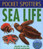 Sea Life-Identify the Sea Life of Great Britain and Europe (Junior Nature Guide)
