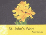 St. John's Wort