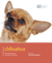Chihuahua: Chihuahua-Dog Expert