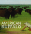 George Catlin's American Buffalo