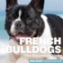 French Bulldogs: The Essential Guide