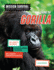 Saving the Gorilla: Meet Scientists on a Mission, Discover Kid Activists on a Mission, Make a Career in Conservation Your Mission (Mission Survival: Saving Earth's Endangered Animals)