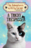 A Tricky Trespasser: the Adventures of Kitty Corner Book 2
