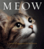 Meow: a Book of Happiness for Cat Lovers (Animal Happiness)
