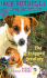 The Kitnapped Creature (Jack Russell: Dog Detective)