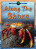 Along the Shore (Oceans Alive! )