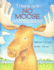 There Are No Moose on This Island