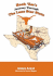 Hook Em's Journey Through the Lone Star State