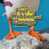 My Feet Are Webbed and Orange (Zoo Clues 2)