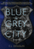 Blue & Grey City