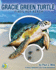 Gracie Green Turtle Finds Her Beach (Harry Hawksbill Sea Turtle Adventures)