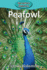 Peafowl (Elementary Explorers)