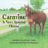 Carmine: a Very Special Horse