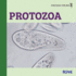 Protozoa