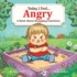 Today, I Feel Angry-Learn How to Stop Temper Tantrums-Children's Social Emotional Book About Healthy Coping Techniques That Calm Down Anger-a Kid's Guide to Managing Strong Emotions