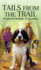 Tails from the Trail: The Hilarious Chronicles of Dog Walking
