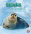 Seals Are Awesome (Polar Animals)