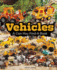 Vehicles: a Can-You-Find-It Book