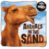 Animals in the Sand (Animals Do What? )
