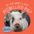 Do You Want a Pet Potbellied Pig? (That's an Odd Pet! )