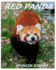 Red Panda: Learn About Red Pandas-Amazing Pictures & Fun Facts (Amazing Nature Childrens Books) (Volume 3)