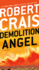 Demolition Angel: a Novel