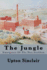 The Jungle