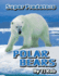 Polar Bears Age 5 8 Super Predators