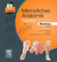 Mmofiches Anatomie Netter-Membres