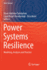 Power Systems Resilience: Modeling, Analysis and Practice
