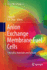Anion Exchange Membrane Fuel Cells: Principles, Materials and Systems