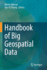 Handbook of Big Geospatial Data