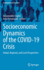 Socioeconomic Dynamics of the COVID-19 Crisis: Global, Regional, and Local Perspectives