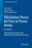 Percolation Theory for Flow in Porous Media 3ed (Pb 2014)
