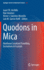 Quodons in Mica: Nonlinear Localized Travelling Excitations in Crystals (Springer Series in Materials Science, 221)