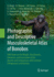 Photographic and Descriptive Musculoskeletal Atlas of Bonobos: With Notes on the Weight, Attachments, Variations, and Innervation of the Muscles and Comparisons With Common Chimpanzees and Humans