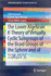 The Lower Algebraic K-Theory of Virtually Cyclic Subgroups of the Braid Groups of the Sphere and of Zb4(S2) (Springerbriefs in Mathematics)