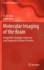 Molecular Imaging of the Brain