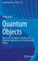 Quantum Objects: Non-Local Correlation, Causality and Objective Indefiniteness in the Quantum World (Fundamental Theories of Physics, 175)