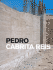 Pedro Cabrita Reis: Works and Writings